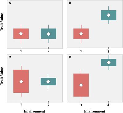 A Multi-Trait Comparison of an Urban Plant Species Pool Reveals the Importance of Intraspecific Trait Variation and Its Influence on Distinct Functional Responses to Soil Quality